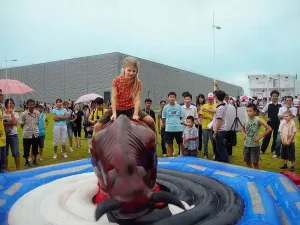 2022 Most Popular Mechanical Bull For SaleChina Amusment Park Rides Supplier 6