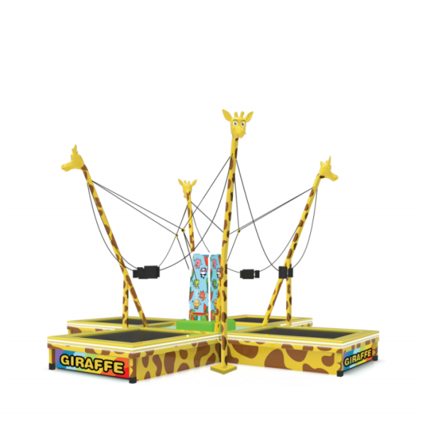 2022 Best Outdoor Bungee Jumping Trampoline Made In China|Factory Price Outdoor Bungee Jumping Trampoline For Sale