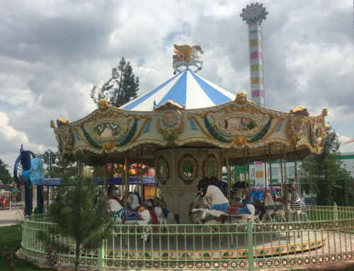 24 P Merry Go Round Ride